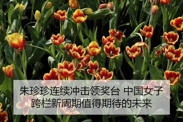 朱珍珍连续冲击领奖台 中国女子跨栏新周期值得期待的未来