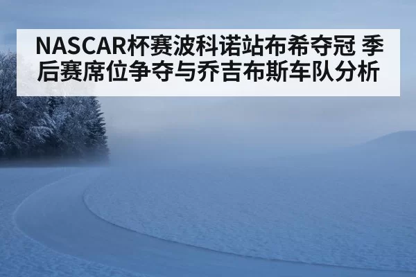 NASCAR杯赛波科诺站布希夺冠 季后赛席位争夺与乔吉布斯车队分析