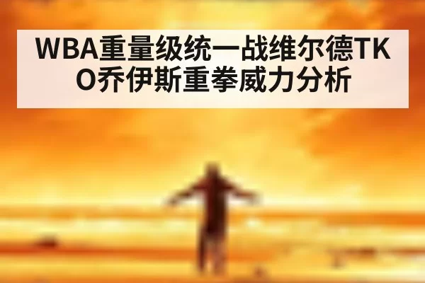 WBA重量级统一战维尔德TKO乔伊斯重拳威力分析